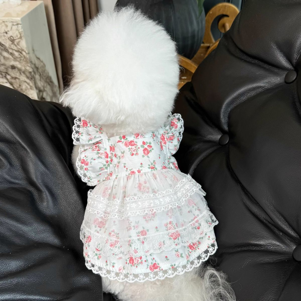 Floral Dog Dress with Lace Ruffles And Red Rose Pattern